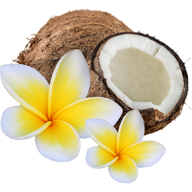 Coconut Frangipani - Car diffuser - Image #2