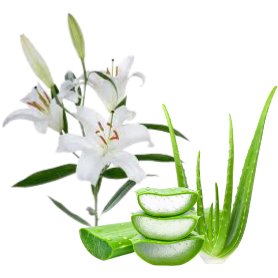 Aloe & White Lily - Car diffuser - Almira Creations