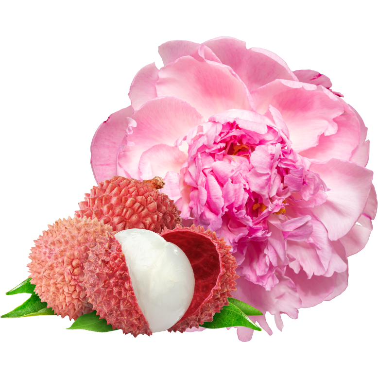 Lychee & Peony - Reed Diffuser - Almira Creations