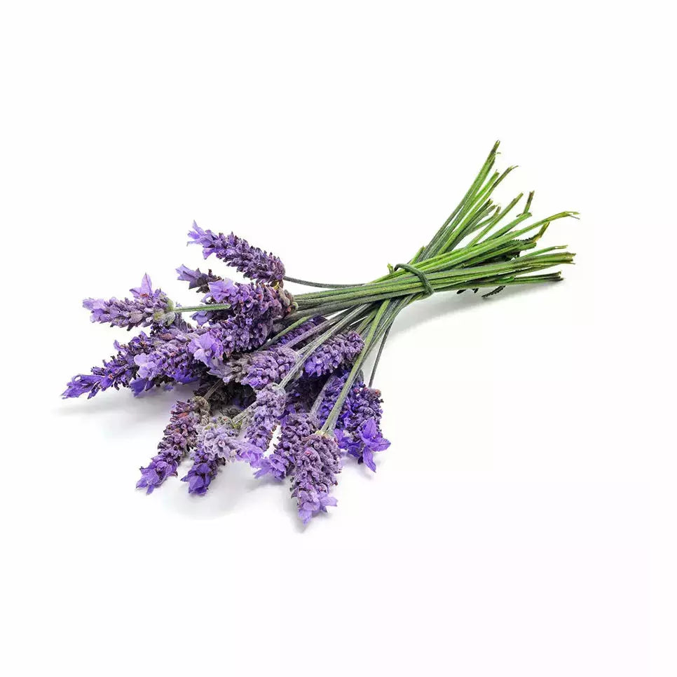 Lavender - Car diffuser - Almira Creations
